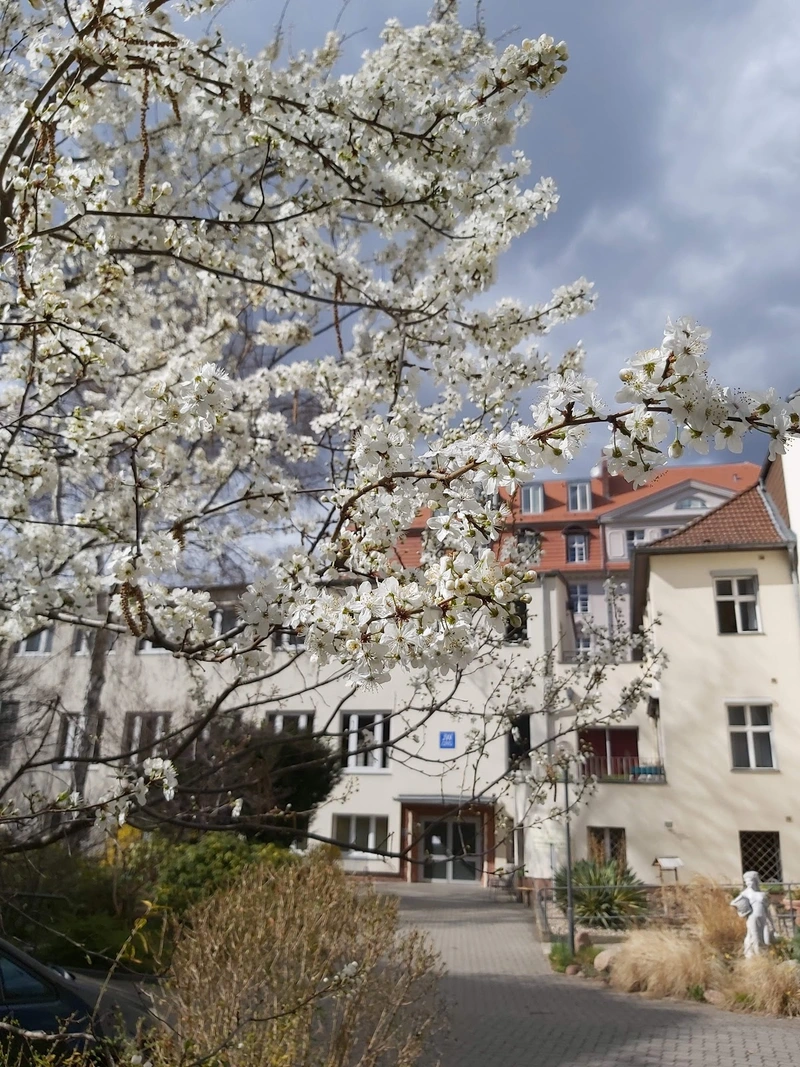 Seniorenheim Horst Czapla GmbH – Bild 4