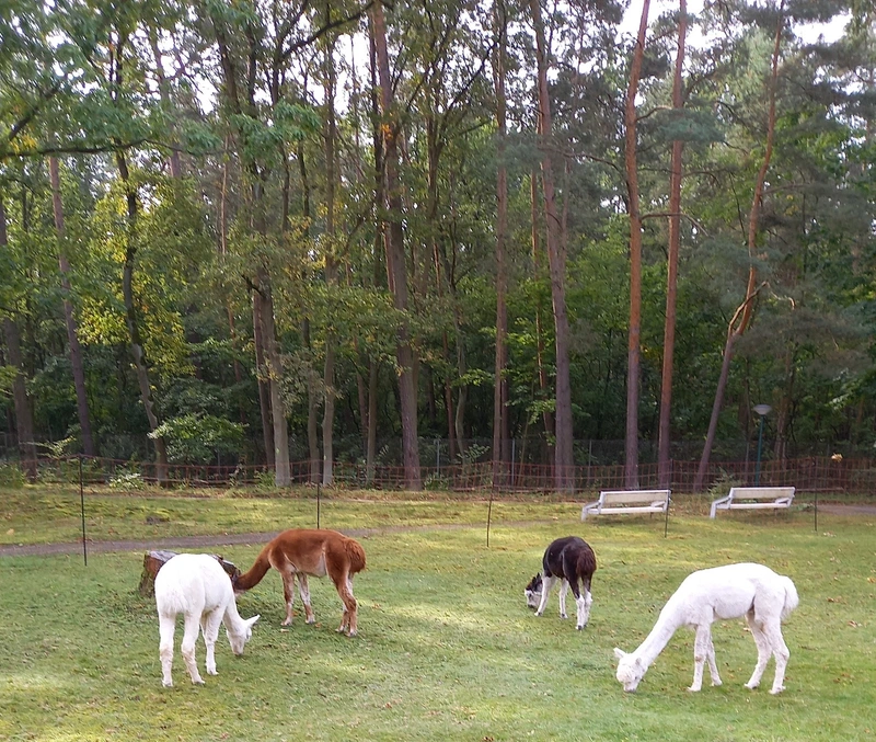 Agaplesion Bethanien Radeland – Bild 3