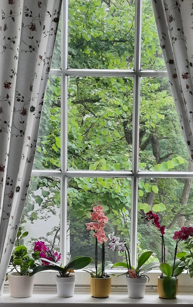 Haus Teplitz Alten- und Pflegeheim GmbH – Bild 5