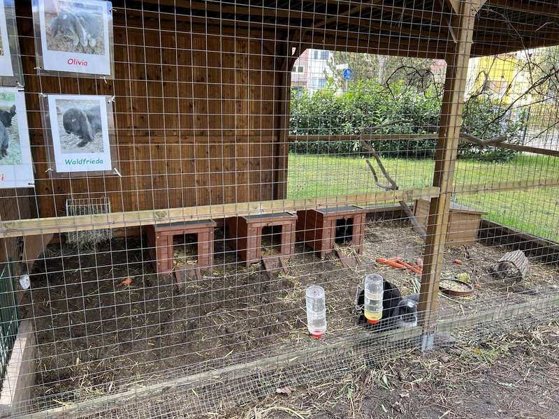 Seniorenhaus Waldfriede gGmbH – Bild 5