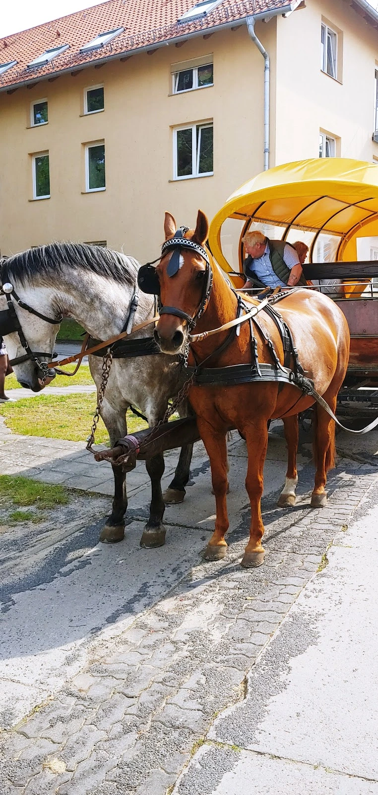 Pflegeabteilung im Waldhaus – Bild 4