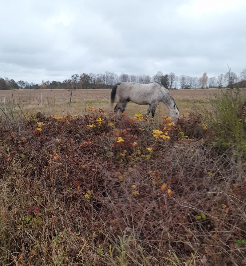 Pflegeabteilung im Waldhaus – Bild 5