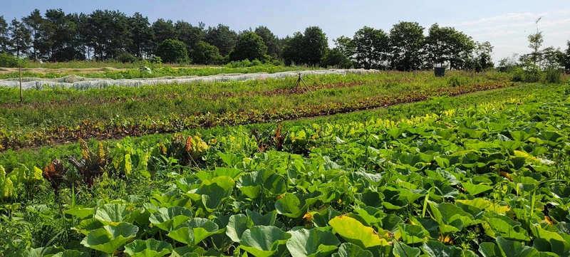 HIRAM Haus Neudorf e.V. – Bild 1