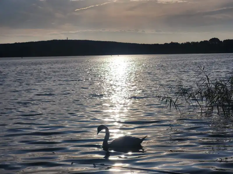 DRK Pflegeeinrichtung "Woblitzpark" – Bild 4