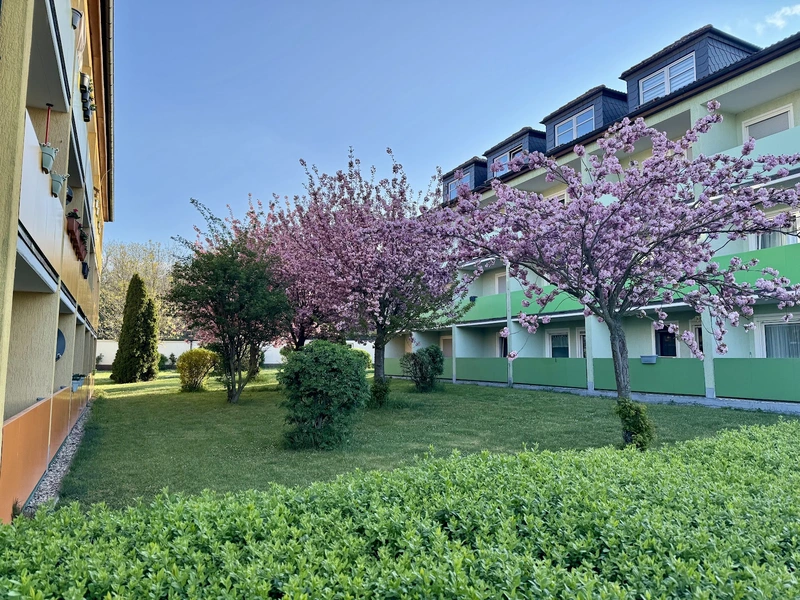 Ambulanter Pflege-Service Tobias Roocks Seniorendomizil Lochau – Bild 4