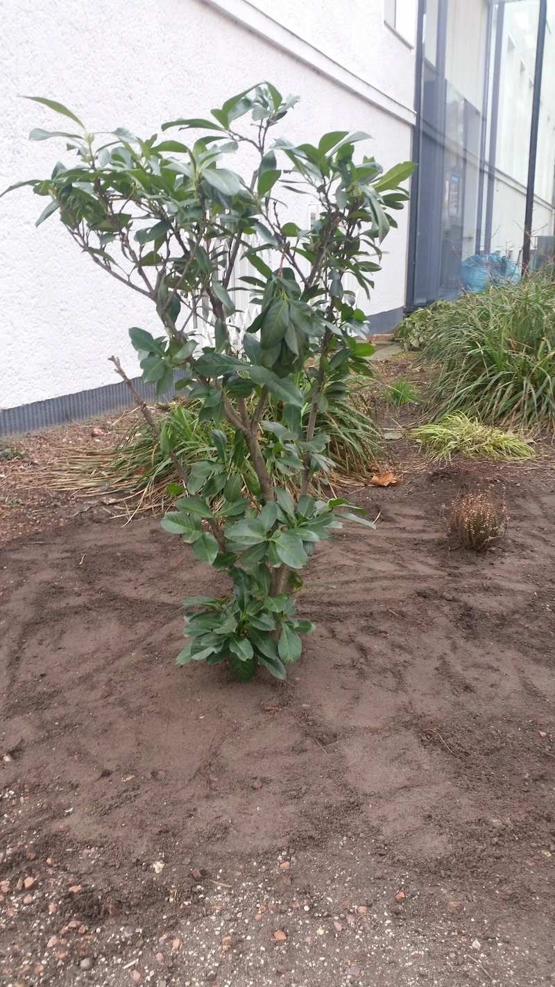 Diakonie in Düsseldorf Häusliche Pflege Süd – Bild 3