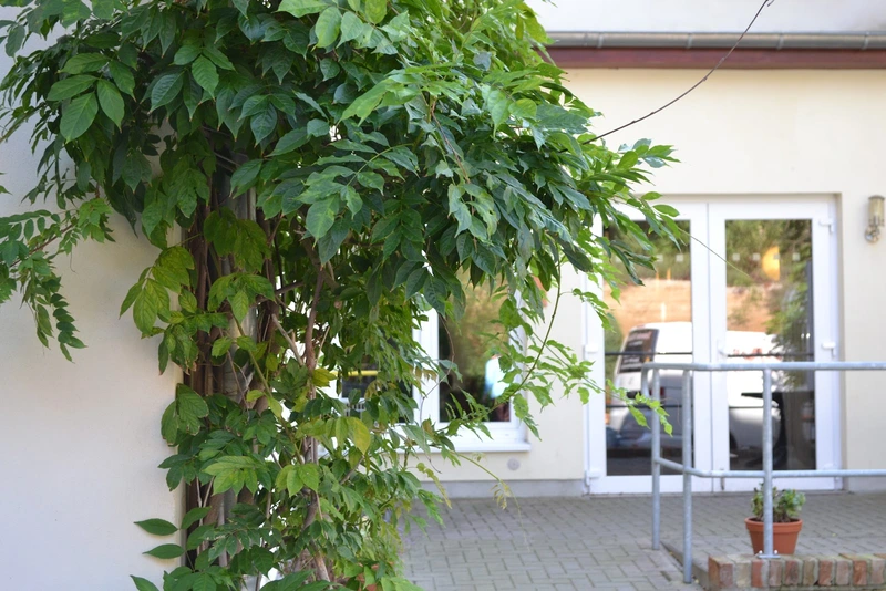 Pflegeambulanz von Kersten – Bild 3