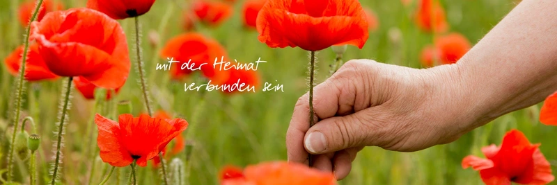 Humanas Pflege Wohnpark Colbitz – Bild 3