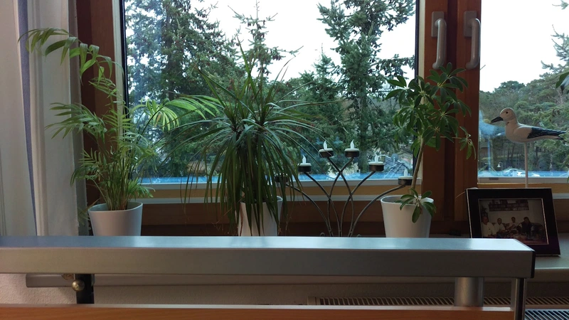 DRK Pflegeeinrichtung Binz – Bild 5