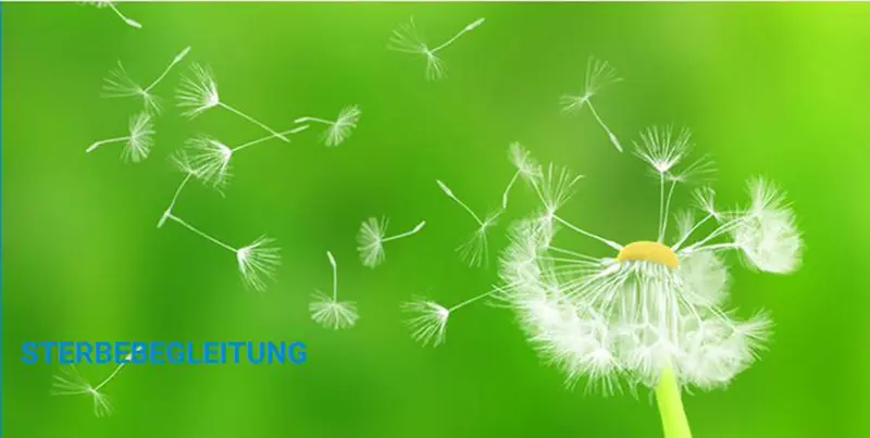 Diakoniestation Wittingen – Bild 3