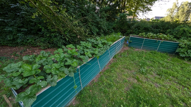 SEnioren-TAgesstätte ZAchow – Bild 3