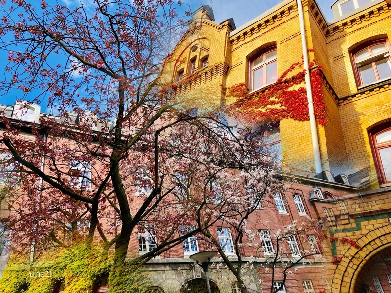 Zindler-Haus – Bild 4