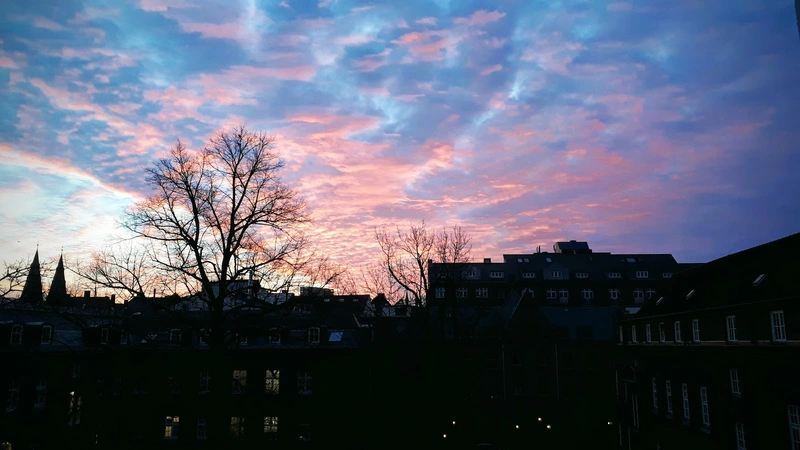 Zindler-Haus – Bild 5