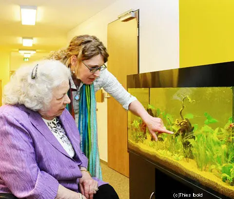 DRK Seniorenpflegeheim Eichenhöhe Wolckenhauer-Bahr gGmbH – Bild 3