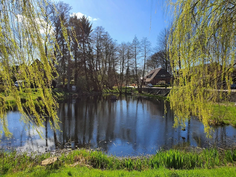 Tagespflege Harburg "Haus am Feuerteich" – Bild 2