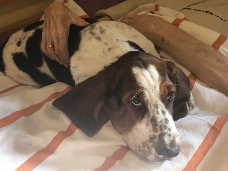 DRK-Augusta-Schwesternschaft e.V., Alten und Pflegeheim – Bild 4