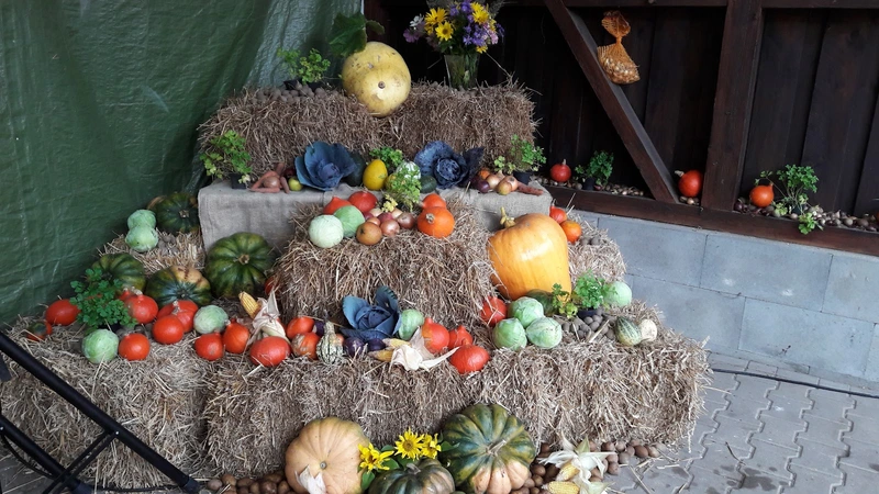 Johann und Erika Loewe-Stiftung – Bild 5