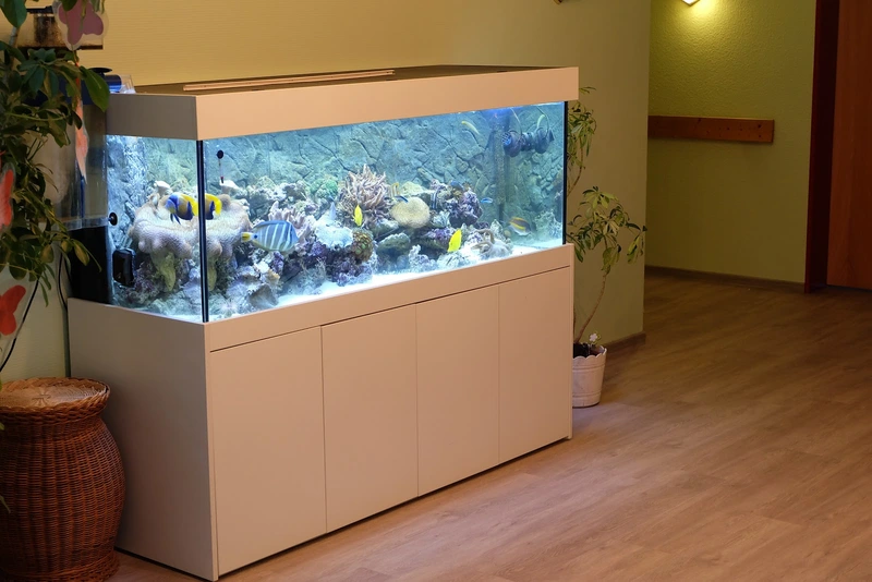 Senioren- und Pflegeheim Elbuferpark – Bild 4