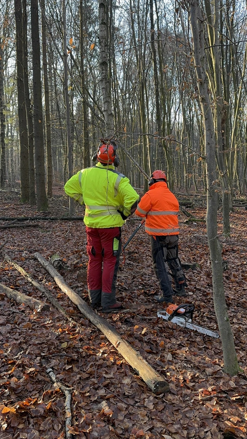 Forstbetrieb Kiehn, Sebastian Kiehn – Bild 2