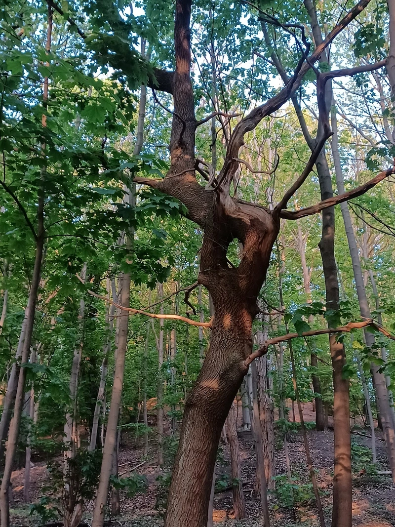 Johanniter-Haus Geesthacht – Bild 5