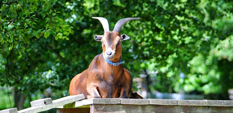 Tagespflegeeinrichtung Freiburg – Bild 3