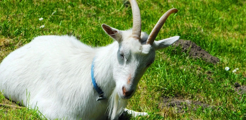 Tagespflegeeinrichtung Freiburg – Bild 5