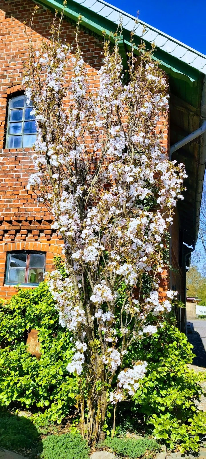 DRK Ambulante Pflege Schwaförden – Bild 4