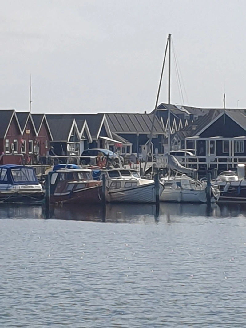 Freundeskreis -Menschen individuell begleiten und betreuen gUG/ Hilfen im Haushalt – Bild 1