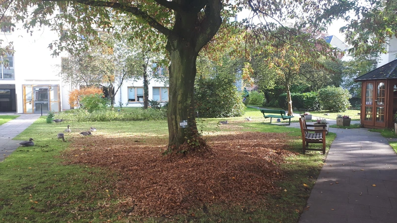 Seniorenhaus Matthäus – Bild 5