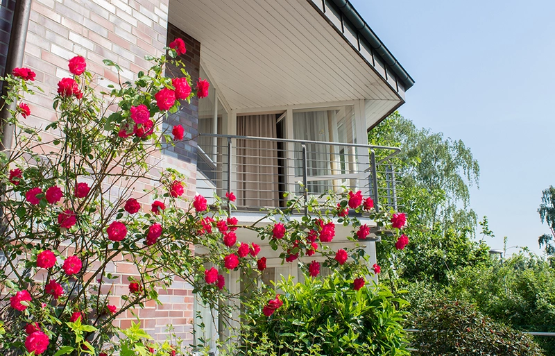 VIAPALLIA Reha GmbH – Bild 2