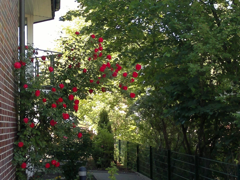 VIAPALLIA Reha GmbH – Bild 3