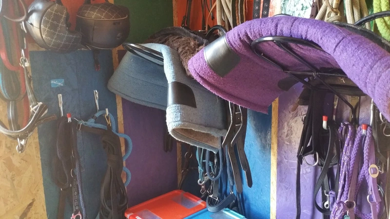 COR³ Dialog- und Reittherapie – Bild 4