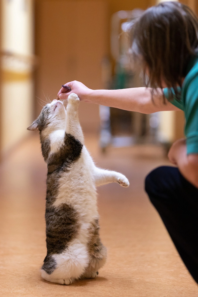 PFLEGE-OASE Ruhla – Bild 2