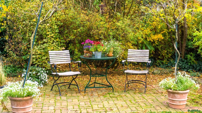 Michael Schurmann – Bild 1