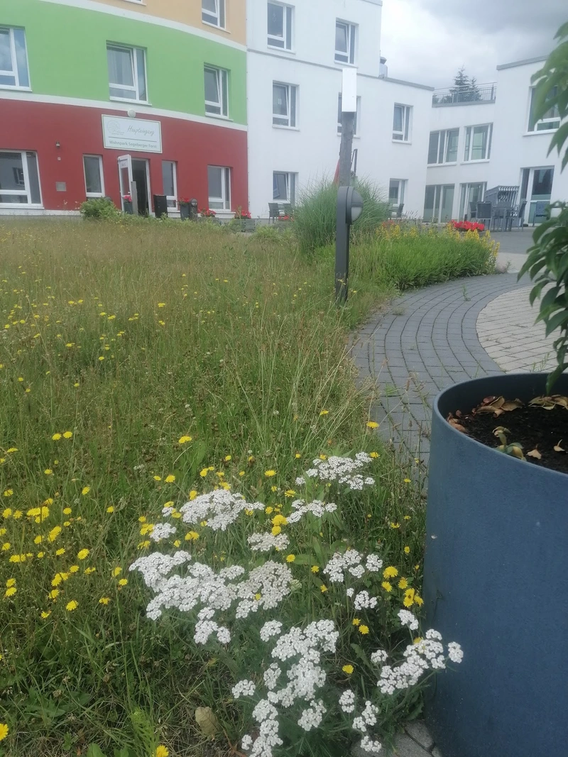 Levantus SR am Segeberger Forst – Bild 3