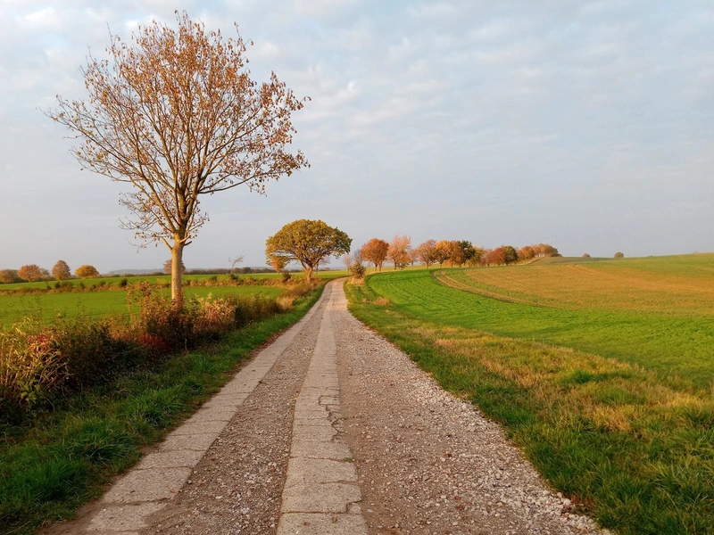 Seniorenpension Möller – Bild 3