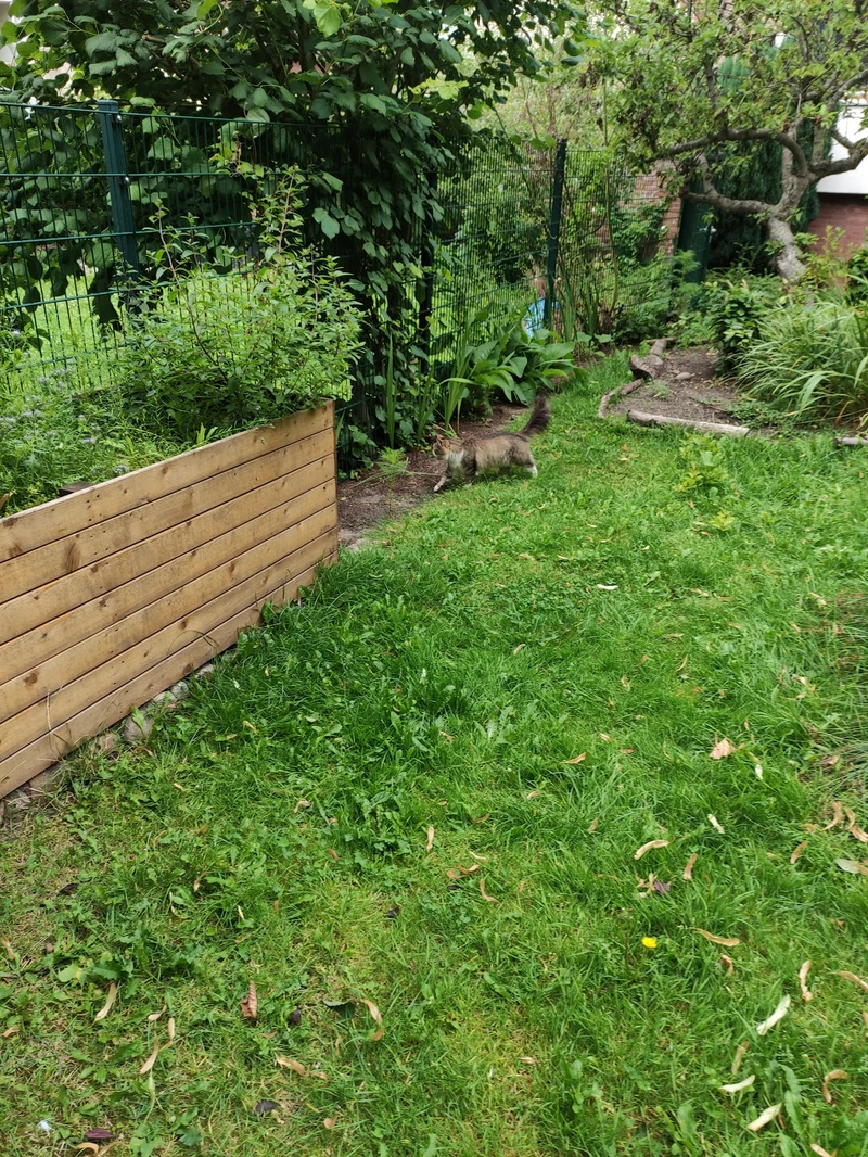 Betreuungsgruppe Bebelplatz – Bild 3