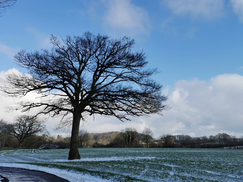 Alten- und Pflegecentrum Flintbek – Bild 4