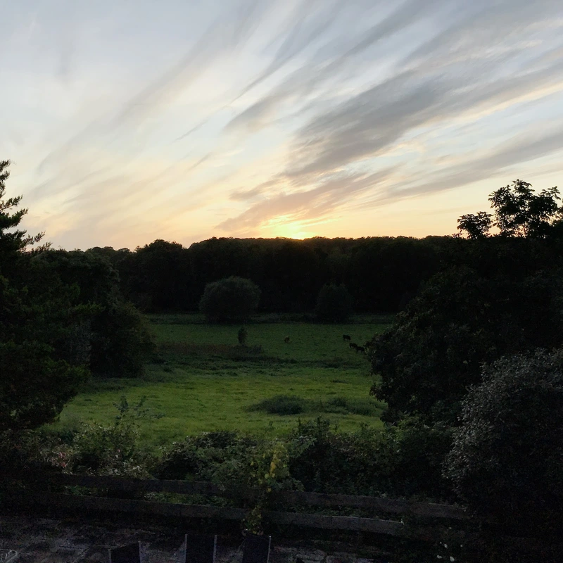 Tagespflege Birkenhof – Bild 4