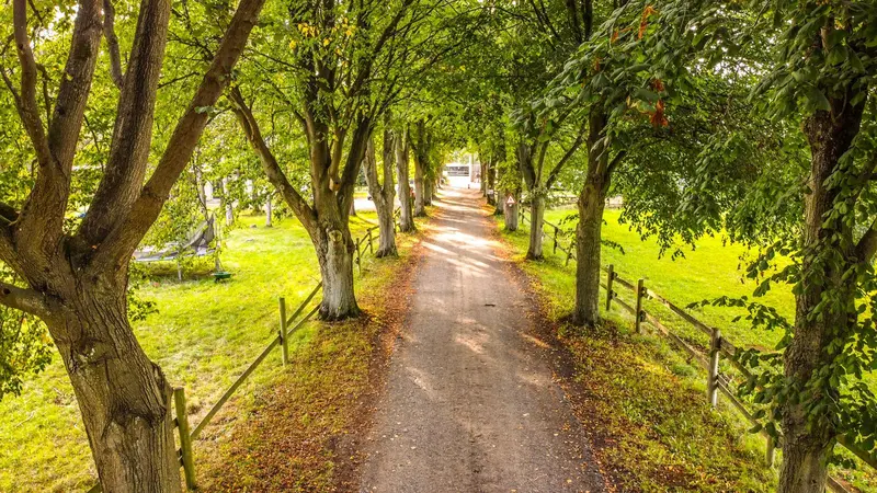 Heilpädagogisches Reiten – Bild 1