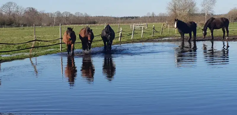 Heilpädagogisches Reiten – Bild 4