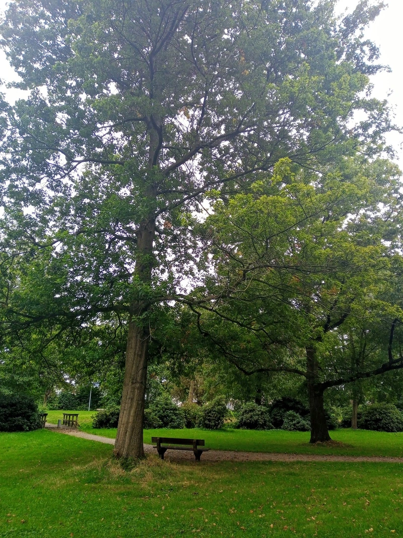 Büdelsdorfer Seniorenwohnanlage am Park – Bild 4