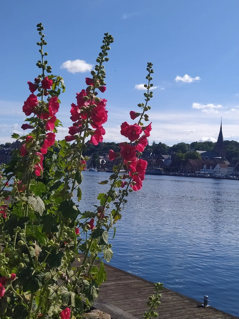 Wohngemeinschaft + Pflege Am Lautrupsbach – Bild 2