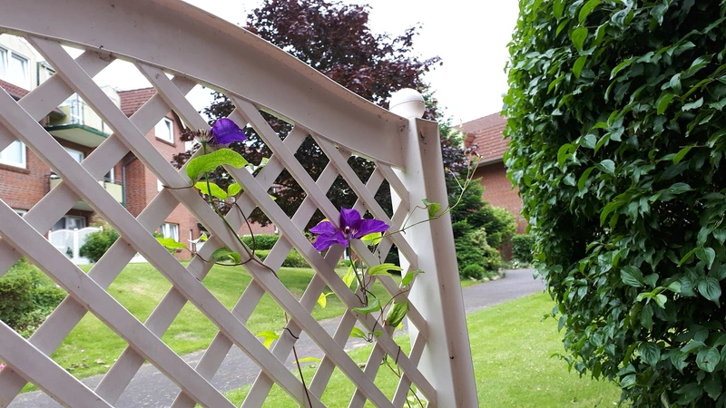 Seniorenheim an der Schlei GmbH – Bild 1