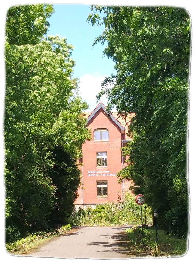 Marienstift – Bild 4