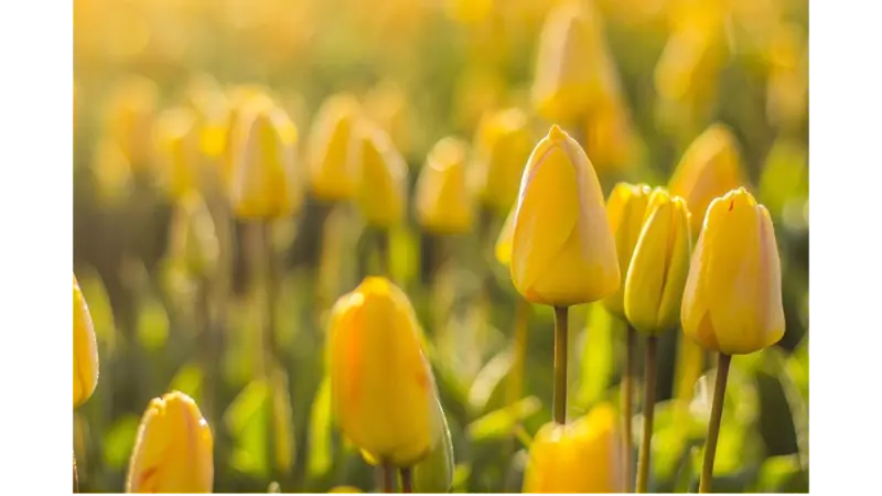 Haus am Lecker Mühlenstrom – Bild 3