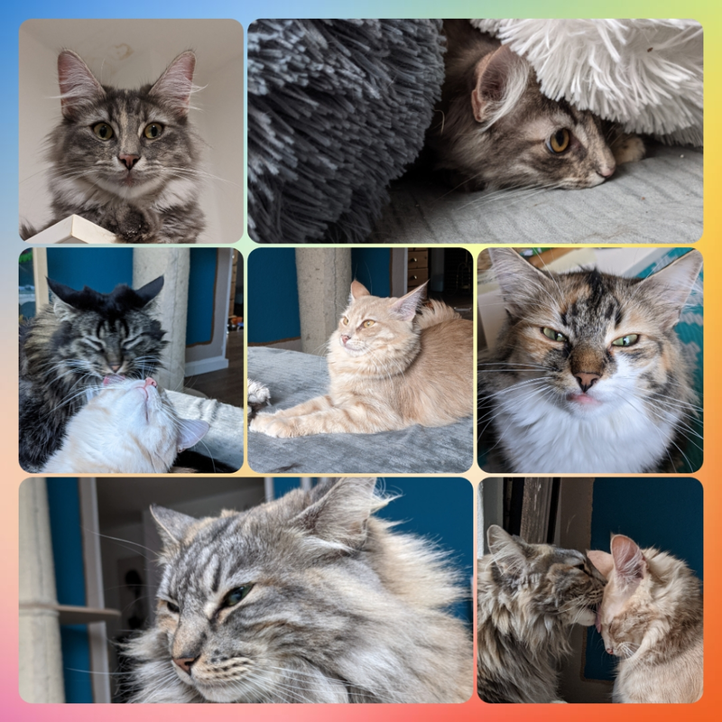 Kerstin Kaudasch – Bild 5