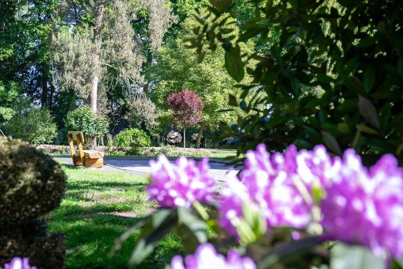 Eekenhoff Centrum GmbH Tagespflege – Bild 2