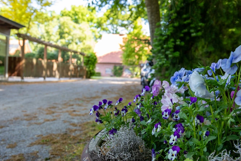 Eekenhoff Centrum GmbH Tagespflege – Bild 5