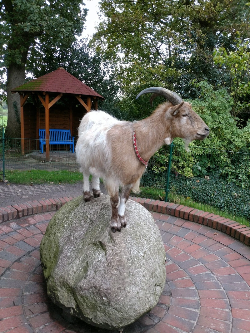 St.-Martins-Heim Zetel – Bild 1